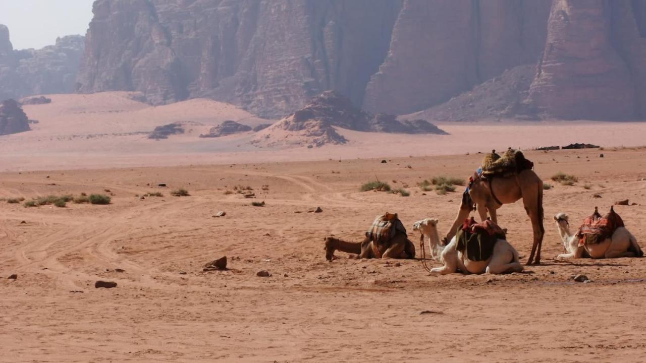 Bedouin Memories Camp Hotel Wadi Rum Luaran gambar